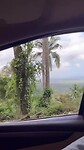 Mooi groen Bali💚