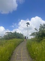 Campuhan wandeling Ubud