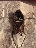 Strandkunst Manu