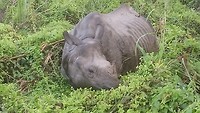 DSC_0518