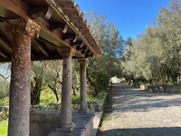 IMG_2343