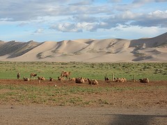 Khongor sanddunes