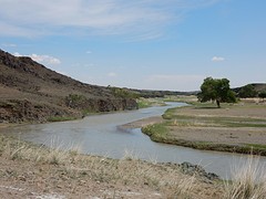 Ongi river