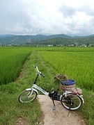 Rijstvelden rondom Shaxi