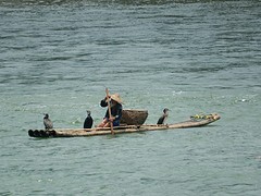 Cormorant fisherman, Xingping