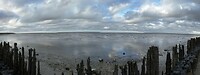 DJI_20241027163726_0537_D