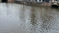 DJI_20241028142714_0571_D