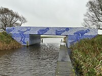 IMG_7842