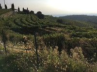 Wandeling bij Verona