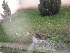 Veel regen en onweer. Caravan gaf geen krimp.,