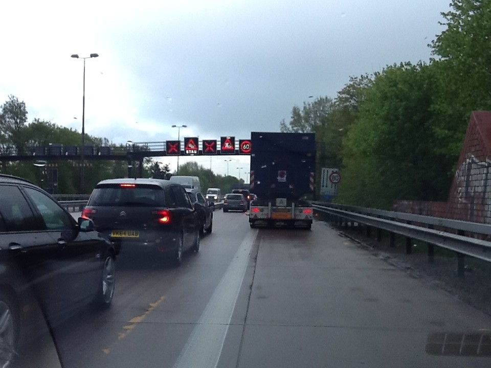Immer stau!