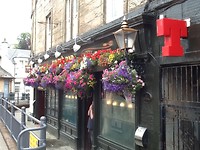 Lots of hanging baskets