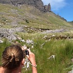 imagepica v " the old man of Stur"
