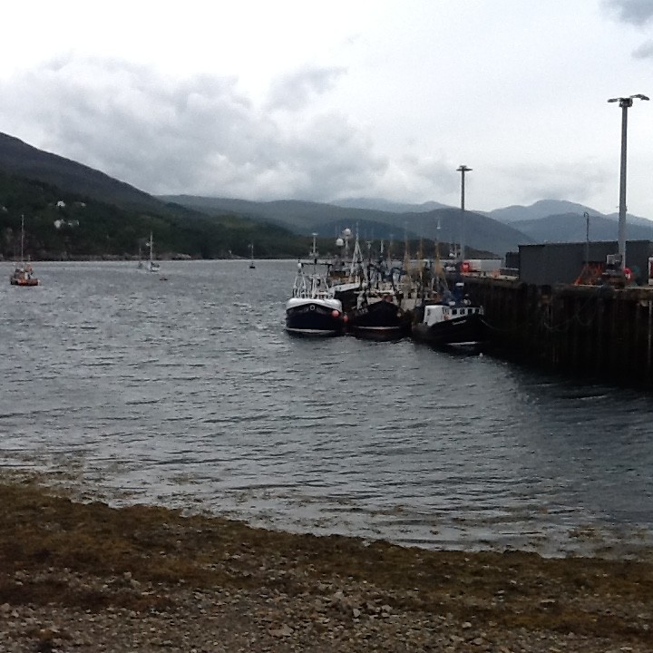 Haventje v Ullapool