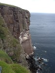 Hier zagen we een 20tal puffins. En nog veel meerbirds. Ze maken veel lawaai