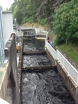 Stuwdam met 30 treden voor de zalmtrap