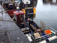 Vissersbootje komt net aan.