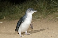 IMG_3817