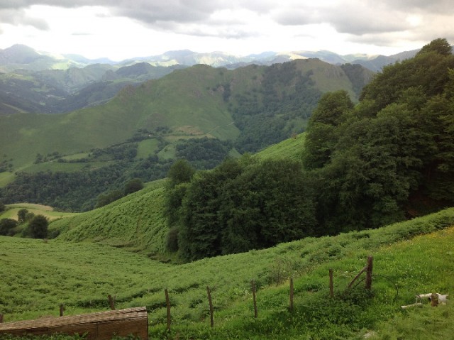 De Pyreneeën