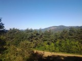 20120718_095121