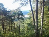 20120718_092116