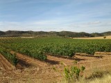 20120722_100338