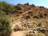 20120724_112530