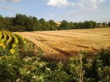 20120727_082434