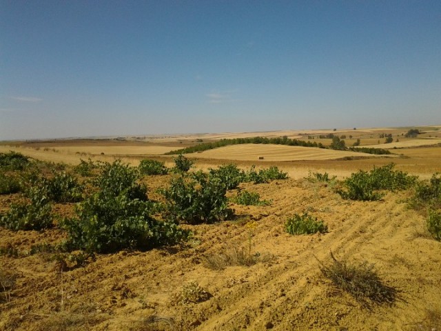 20120801_113309