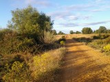 20120806_080933
