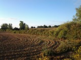20120806_080944