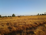 20120806_080951