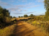 20120806_080939