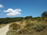 20120808_130208