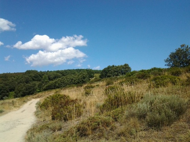 20120808_130208