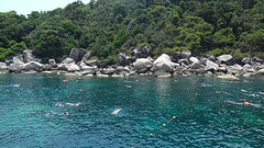 snorkelen