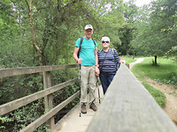Wandelen