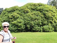 Fotogeniek.
