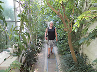 Tuin