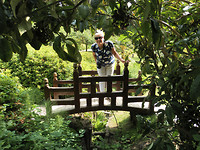 De Japanse tuin.