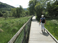 Board Walk.