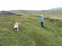 Hanny en Lassie