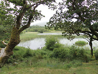 Kijkje op.