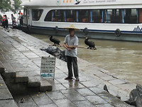 Man op de kade