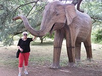 Olifant