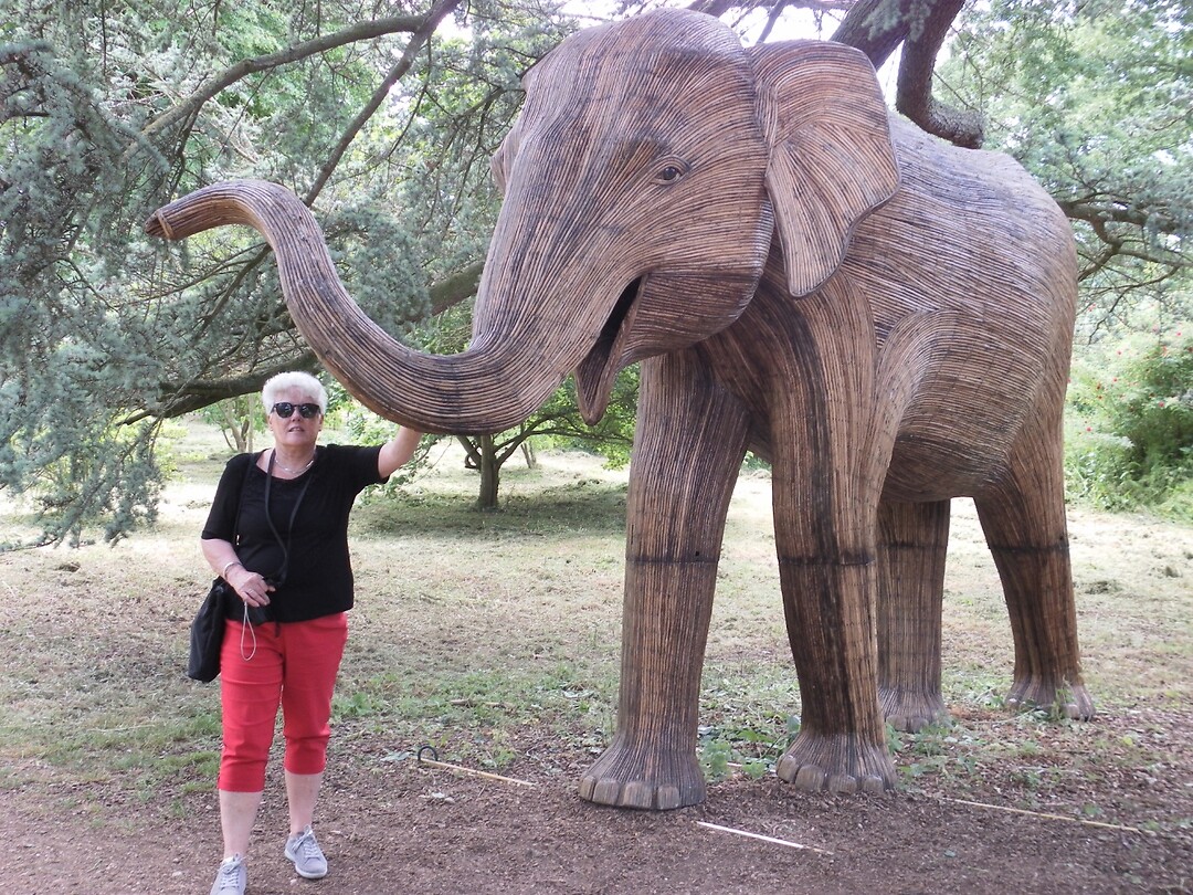 Olifant