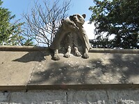 Dieren