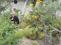 Bloemen