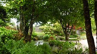 Tuin