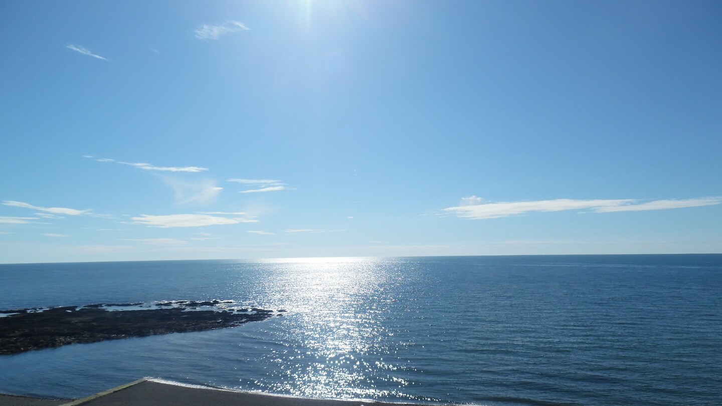 Zon